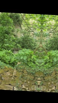 holy trinity church took back by nature