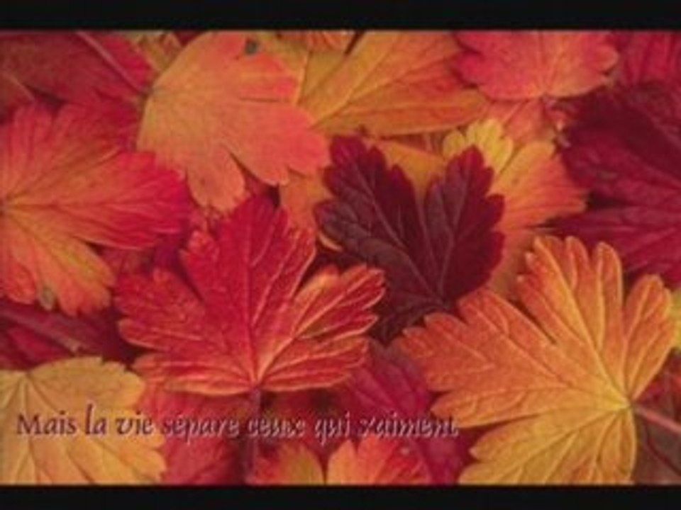 Les feuilles mortes