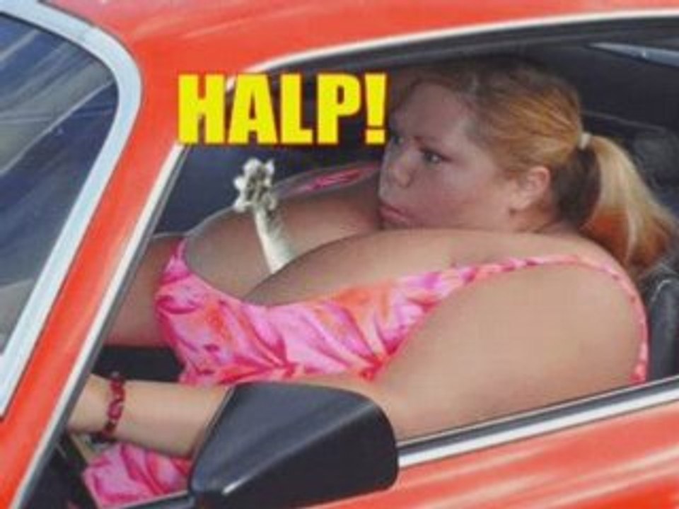 Funny Animals 2