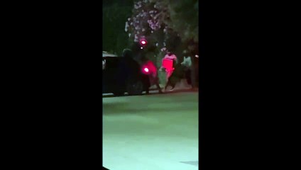 L'assalto dei ladri nella villetta ripreso in diretta: caricano la cassaforte e scappano