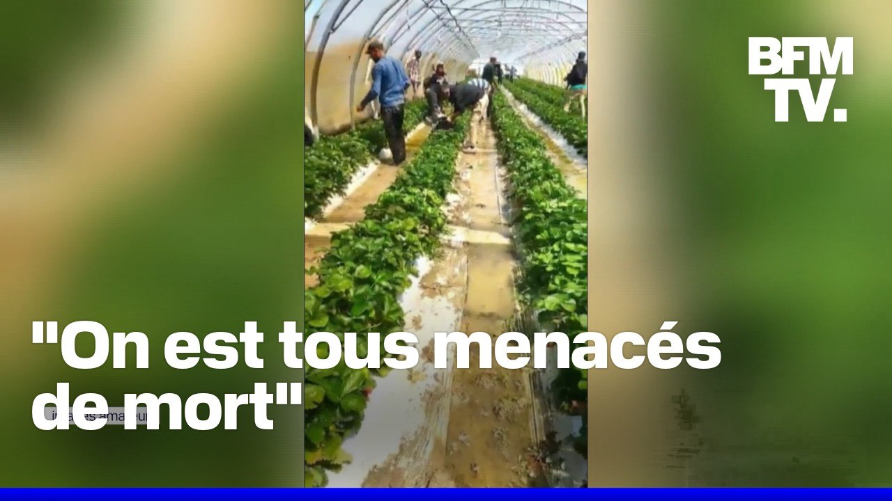 Trois personnes arrêtées pour "traite d'êtres humains" sur une exploitation agricole du Vaucluse