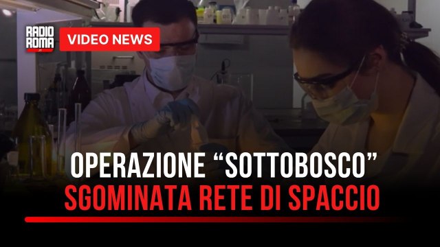 Spaccio nei boschi con call center, arresti nel Viterbese