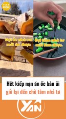 Hết kiếp nạn ăn ốc bàn ủi giờ lại tới chờ tằm nhả tơ