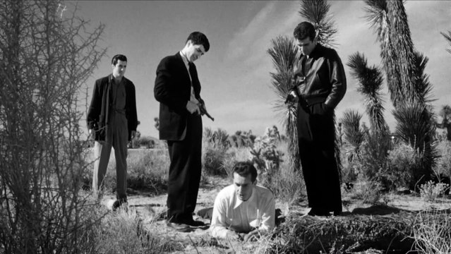 Die Nacht Ist Voller Schrecken (1955)