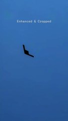 B-2 / B-21 or Israel's RA-01 Drone? Mysterious Stealth UAV Spotted Over Israel (Footage & Analysis)