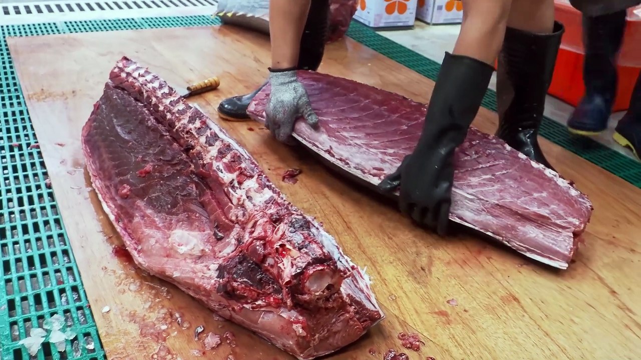 Giant Bluefin Tuna Cutting Skills, Tuna Knife Making, Bluefin Tuna Roe, Sashimi
