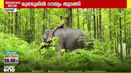 പാലക്കാട് മുണ്ടൂരിൽ കാട്ടാനയെ തുരത്താനുള്ള ദൗത്യംതുടങ്ങി