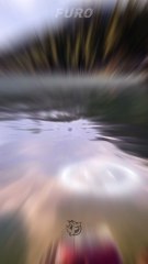 Fishing Trip Gone WRONG🎣