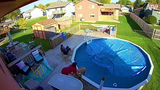 Caught in 4K! 😂 Best Security Camera Fails of 2025 So Far