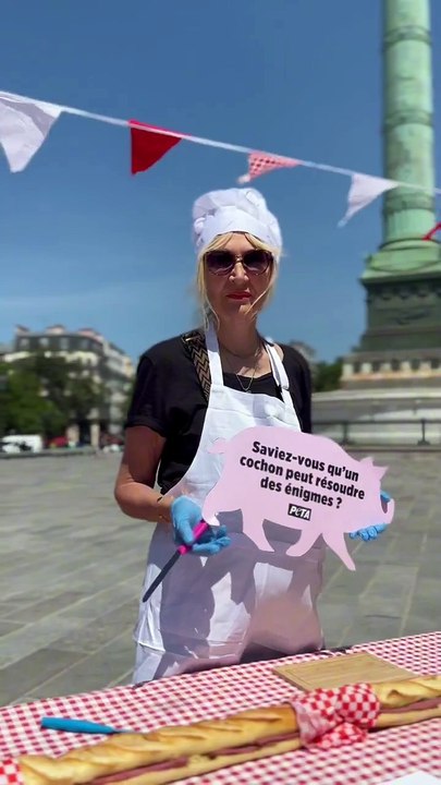 L’association PETA France réalise un sandwich jambon-beurre végan de 23 mètres de long en plein Paris pour sensibiliser à la cause animale - VIDEO