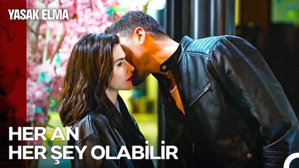 Yasak Elma'da Aşkın Mevsimi Yaz! - Yasak Elma 108. Bölüm