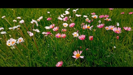 DERİN BİR NEFES GİBİ #podcast1