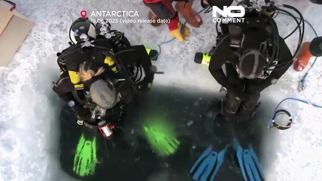 Warming seas threaten Antarctic ecosystems, scientists warn