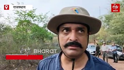 रणथंभौर की चर्चित बाघिन एरोहेड की मौत, बेटी कनकटी के ट्रांसफर के दिन ली अंतिम सांस