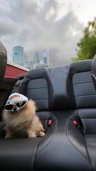 I’m scared it’s gonna fly away