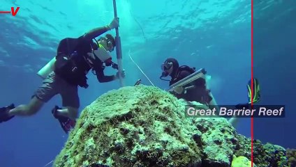Scientists Drill Coral to Reveal 400 Years of Climate Secrets.mp4