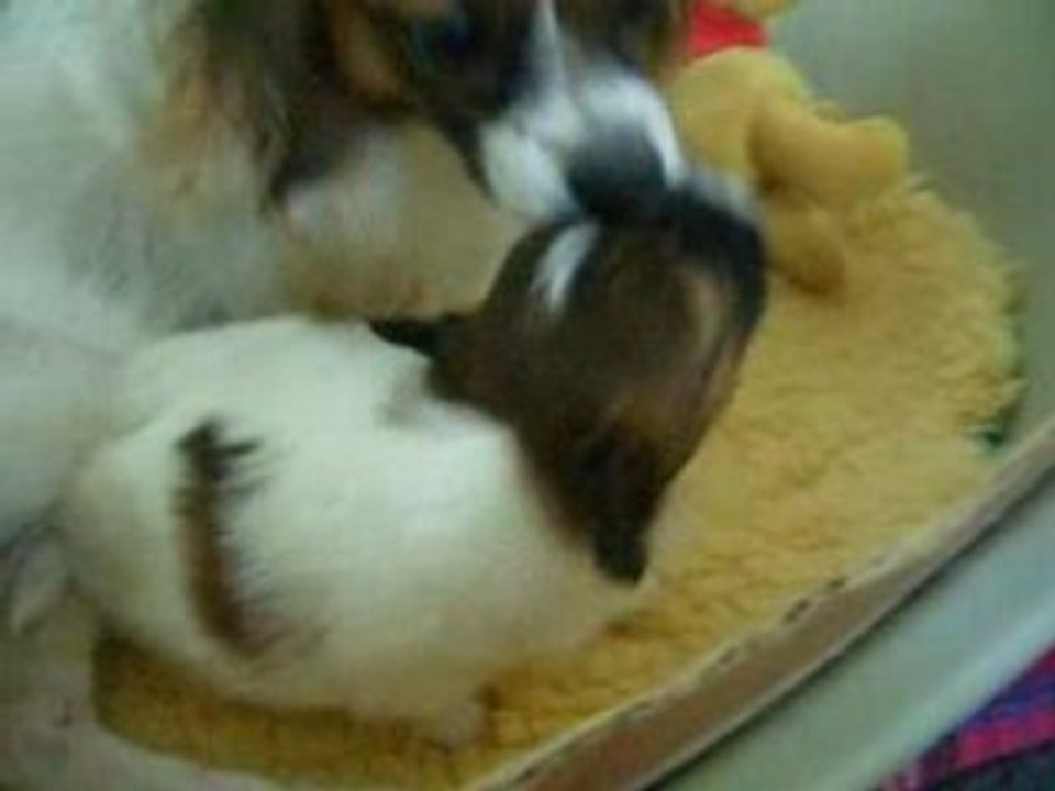 1ers vrais jeux avec sa maman