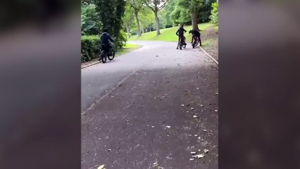 City Council’s Neighbourhood Enforcement Team look to track down youths in connection with killing of animals