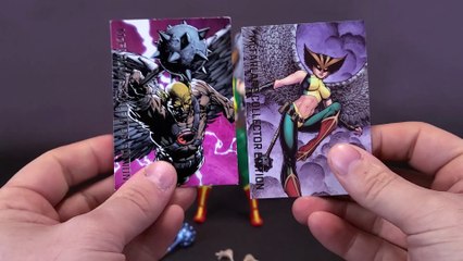 McFarlane Toys DC Multiverse Mcfarlane Collectors Edition Hawkgirl Figure Review