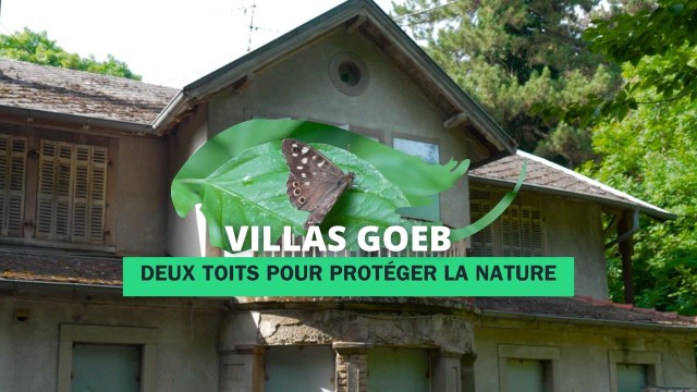 Villas Goeb : deux toits pour protéger la nature