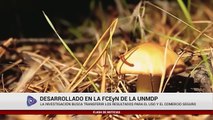 PROYECTO DE INVESTIGACIÓN SOBRE HONGOS