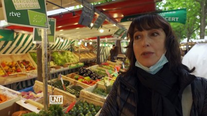 Insecticidas, licencia para matar