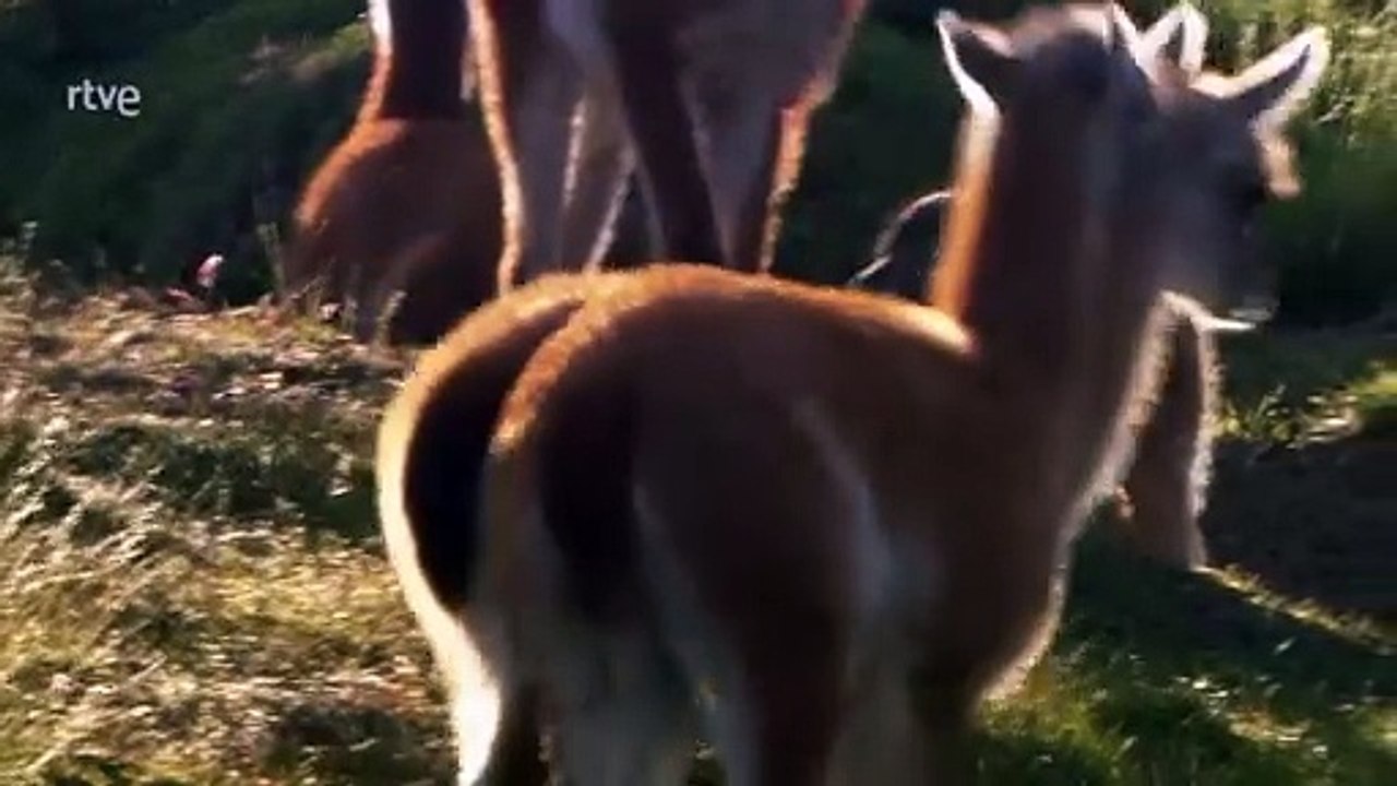 Documental. Lugares que visitar antes de morir- Sudamérica