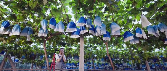 A Romance Of The Little Forest S01E29