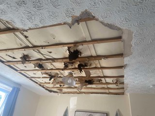 I live in fear of my ceiling falling down at any moment