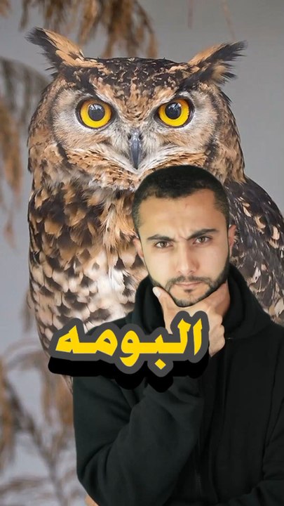👂 كائن يقدر يسمع دقات قلبك من بعيد؟https://psce.pw/7rqrw4#النواة #البومة#Alnawa #dubai🇦🇪 #nationalgeographic #dubailife #Strigiformes #trending #travel #nature #wildlife