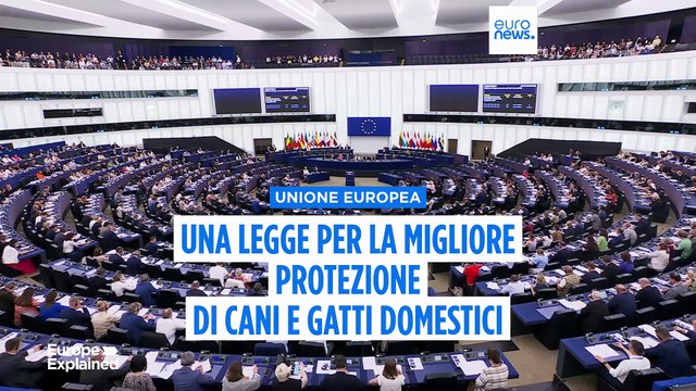 Il Parlamento europeo vuole rendere obbligatorio il microchip per cani e gatti domestici nell'Ue