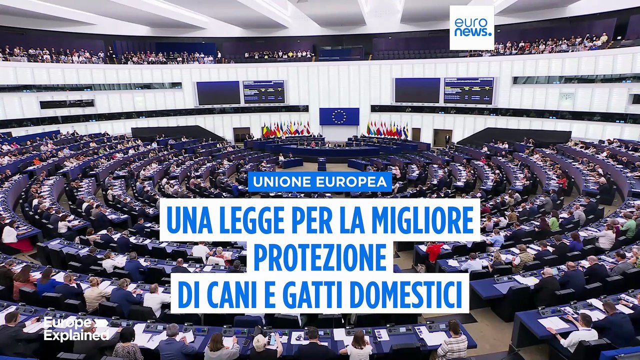 Il Parlamento europeo vuole rendere obbligatorio il microchip per cani e gatti domestici nell'Ue