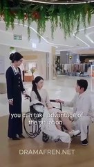 Unyielding Shield Full Chinese Drama