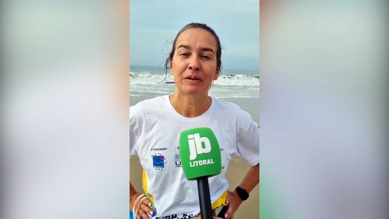 Baleia-jubarte juvenil é encontrada morta após encalhe em Pontal do Paraná