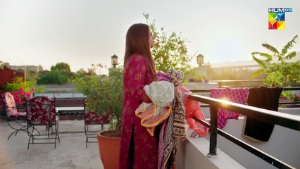 Dastakhat - Episode 24 - 19 June 25 [ Amar Khan, Affan Waheed & Ali Ammar ] - HUM TV