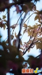 The Unloved- A Journey to Redemption - Full Movie