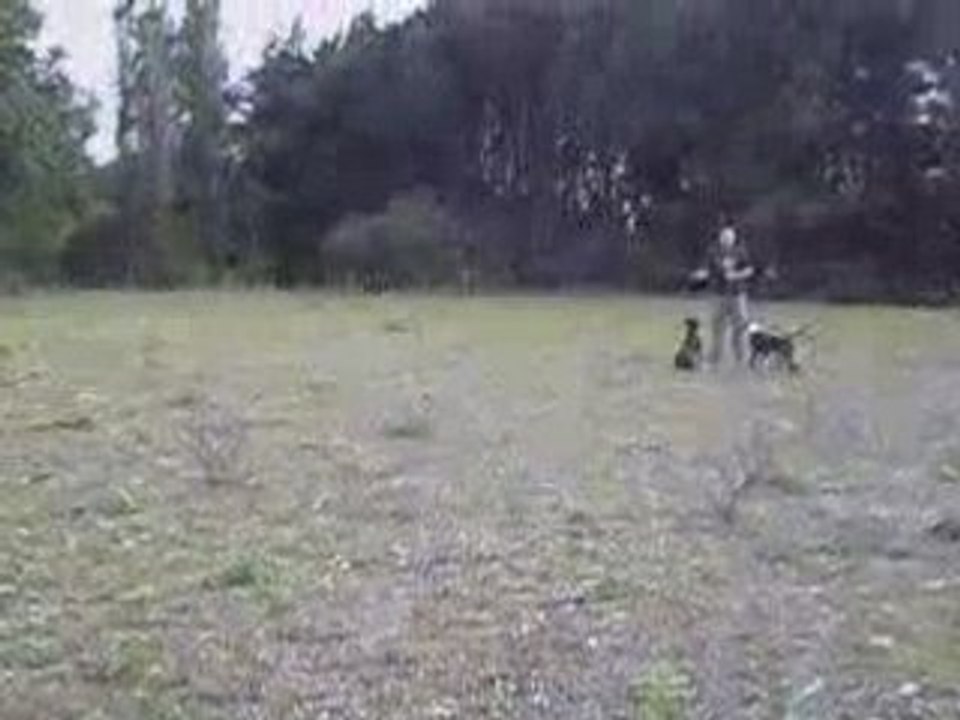 Balade du 11 Mai 2008