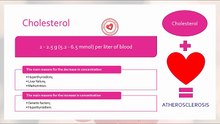 Cholesterol in blood: normal values and causes of increase/decrease