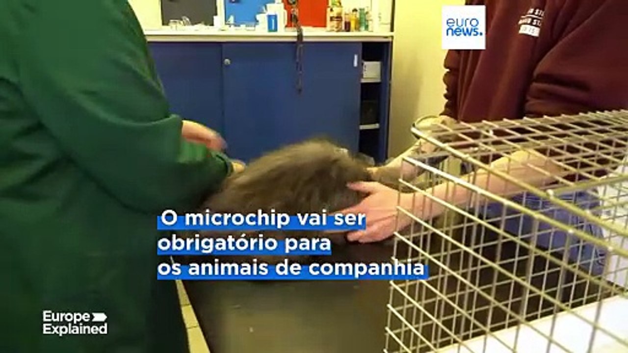 Parlamento Europeu aprova microchips obrigatórios para todos os cães e gatos na UE