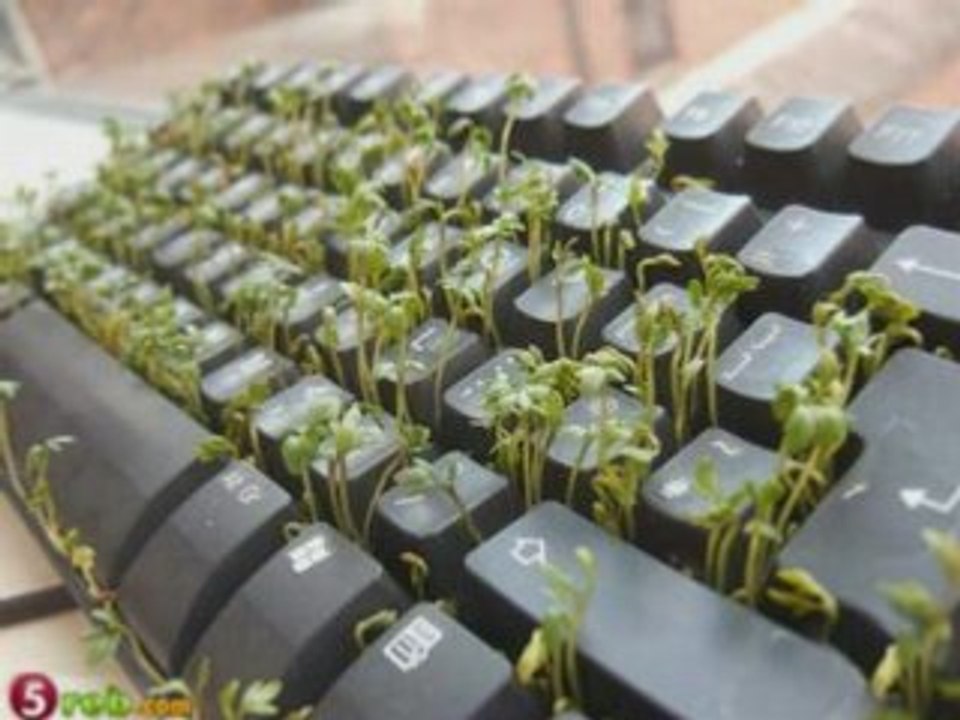 Clavier écologique