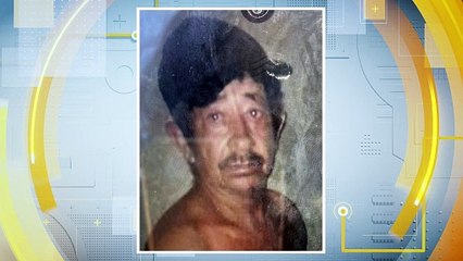 Tragédia Rural: Trabalhador Aposentado Perde a Vida após Ataque de Abelhas - Uma Conversa comovente com a Viúva