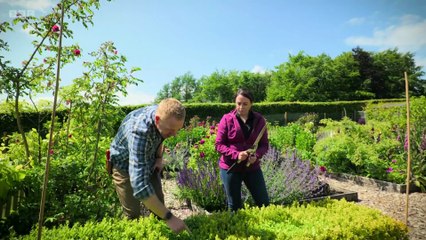 The Beechgrove Garden 2025 episode 12