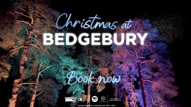 Christmas at Bedgebury 2025 sparkle to celebrate National Pinetum 100th birthday