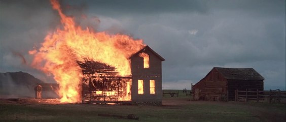 Raízes da Ambição(Terra Selvagem) - 1978