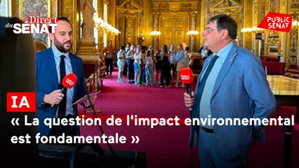 En direct du Sénat - IA : "la question de l'impact environnemental est fondamentale"