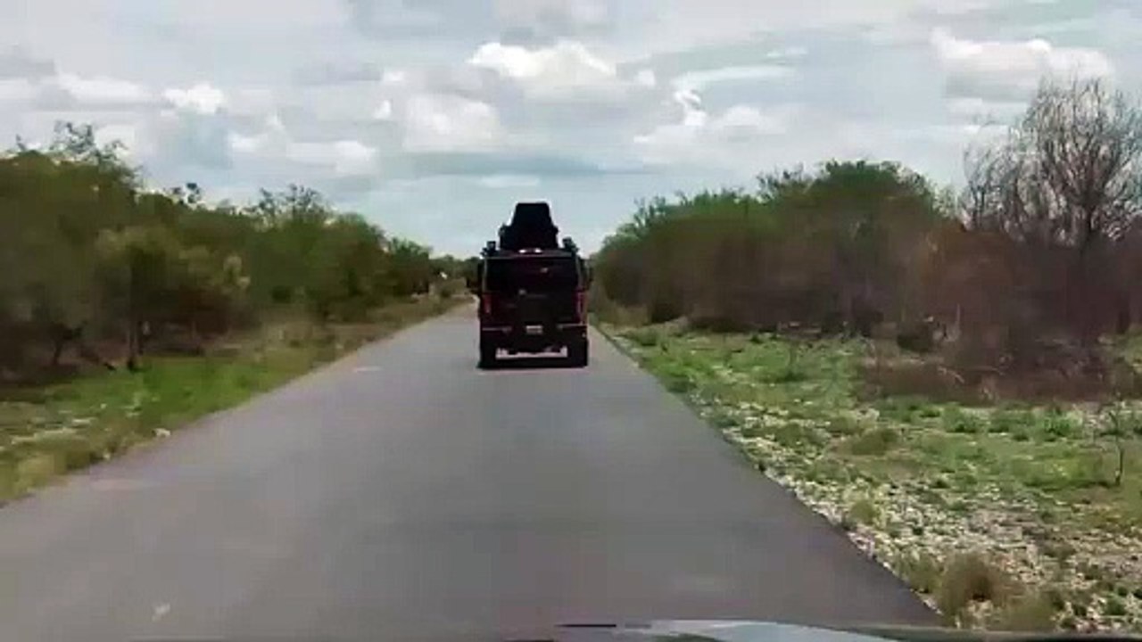 Operativos en Nuevo León: buscan desaparecidos y aseguran rancho donde estuvieron "Los Juniors"