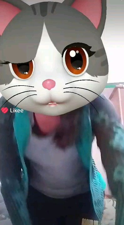 🐱🐱🐱🐱
