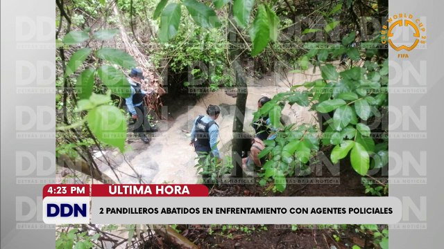 ¿Qué tan efectivas son las estrategias que se estan ejecutando para frenar al gusano barrenador?