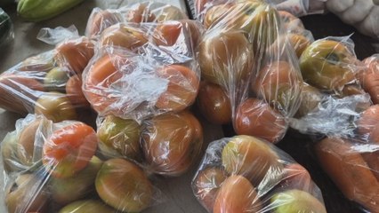 Productores de Panamá Oeste afectados por cierres en la Panamericana