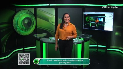 Fóssil revela mistério dos dinossauros ‘pescoçudos’